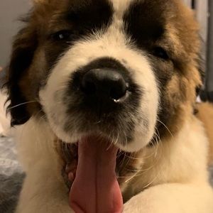 Meet your Posher, Katya